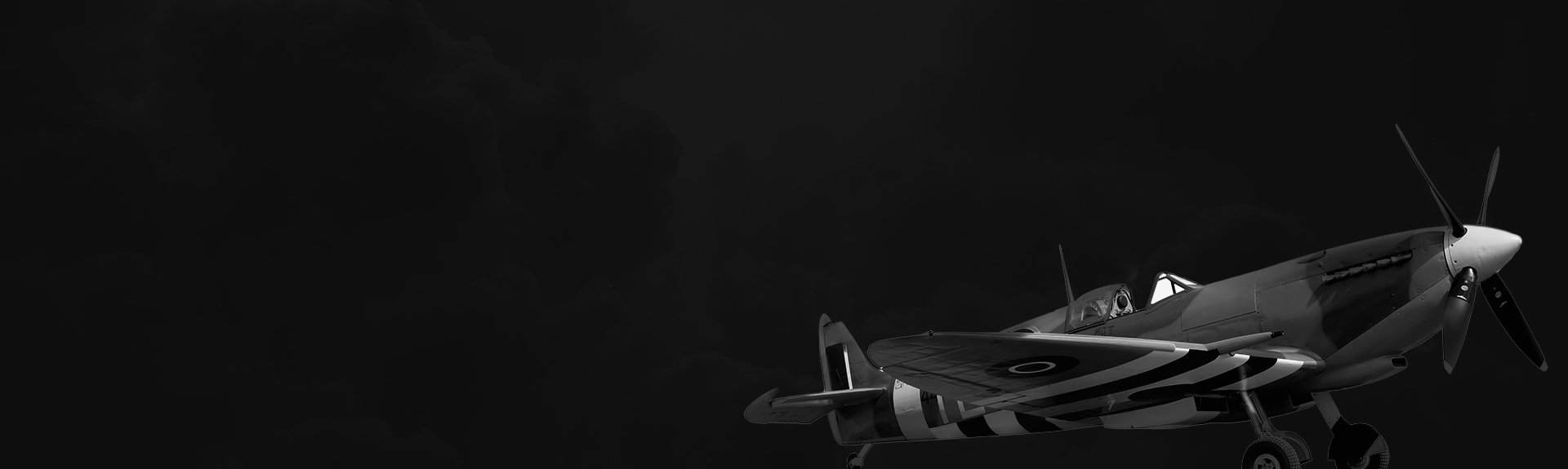 Spitfire Image